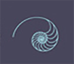 nautilus